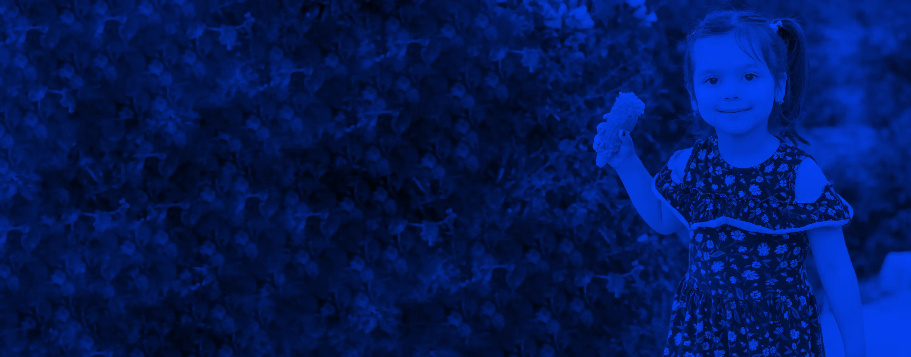 Backgorunde de Projects