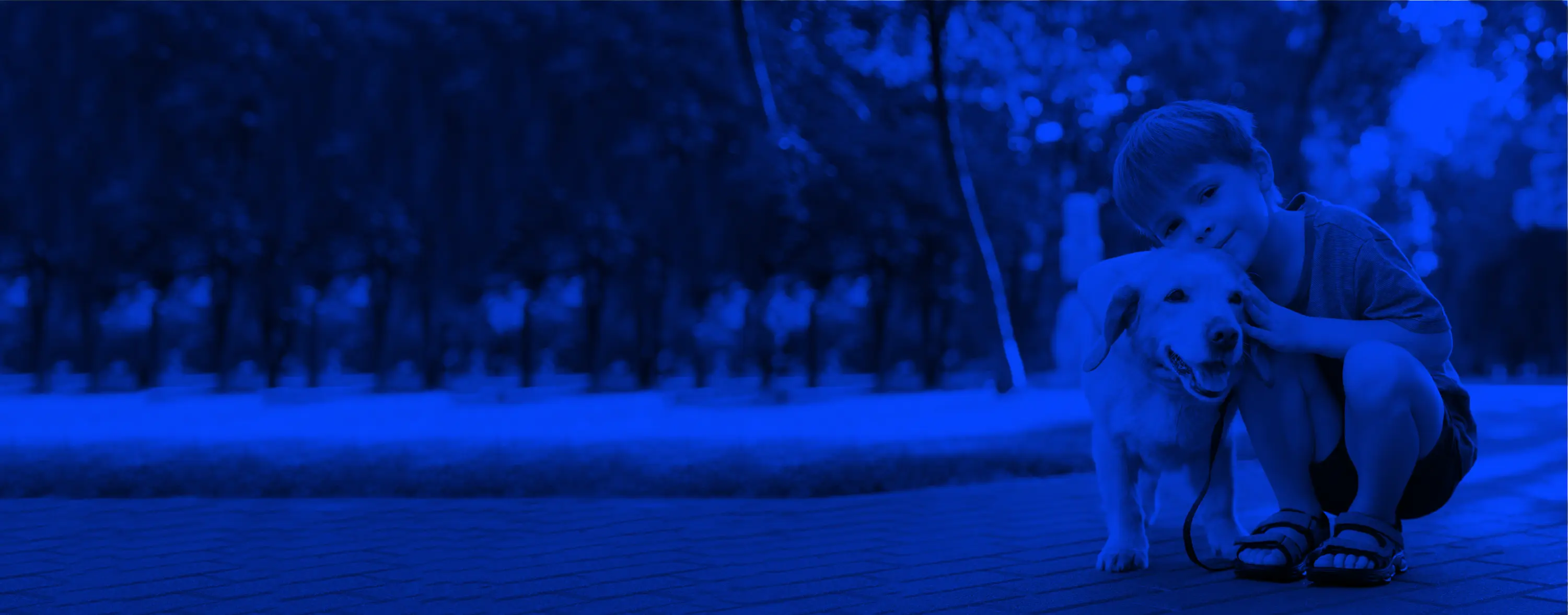 Backgorunde de Projects