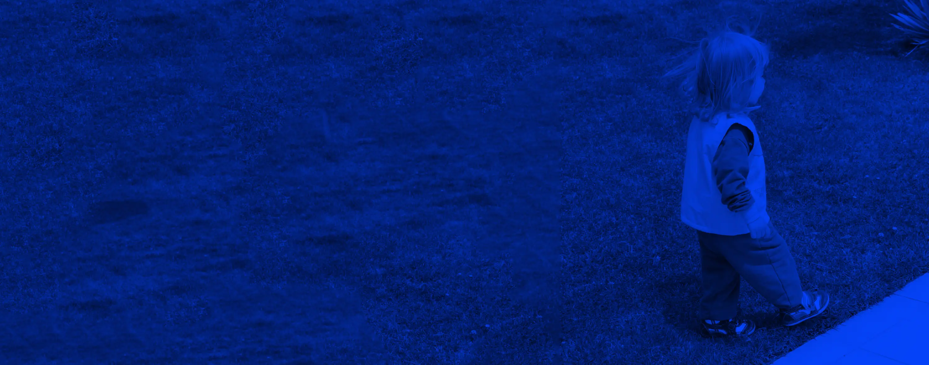 Backgorunde de Projects